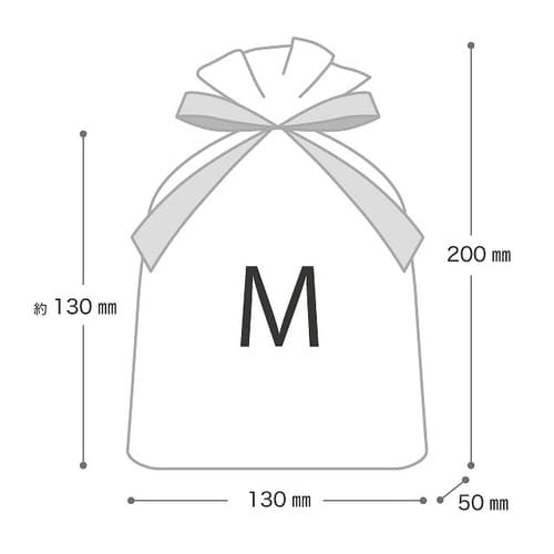 オーガンジーバッグ/アイボリー−M 10枚×3