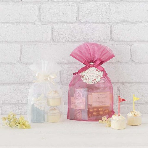 オーガンジーバッグ/アイボリー−S 10枚×3