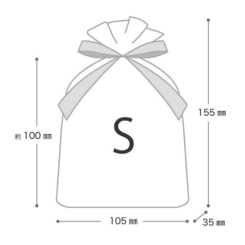 オーガンジーバッグ/アイボリー−S 10枚×3