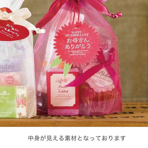 オーガンジーバッグ/モーブ−SS 10枚×3