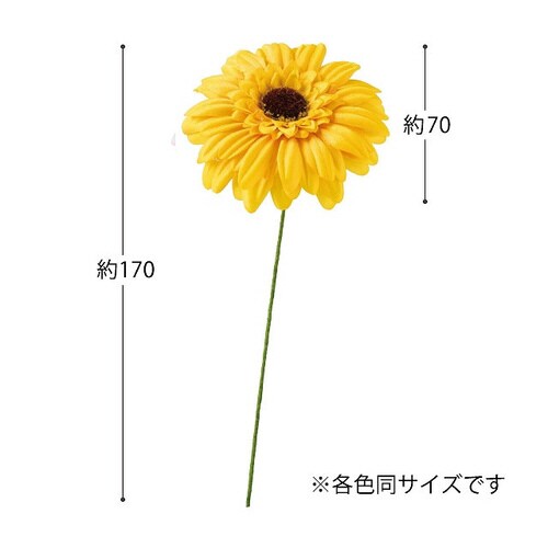 ガーベラフルリール−S/イエロー−4 12本×2