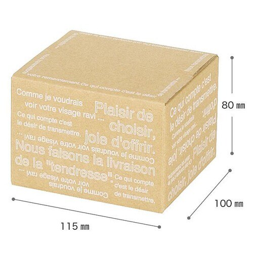 カフェオレカートンBOX−5 10枚×2