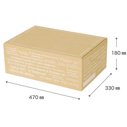 カフェオレカートンBOX−6 5枚×2