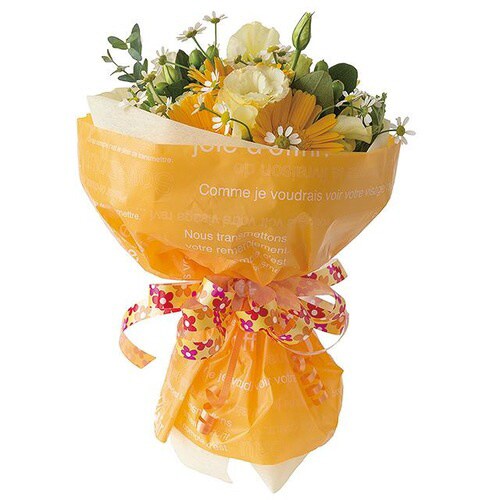 カフェオレショートPEロール−オレンジ 1巻×2