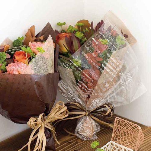 カフェオレスクエアバッグ−L 50枚×2