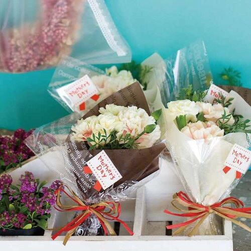 カフェオレスクエアバッグ−S 50枚×5