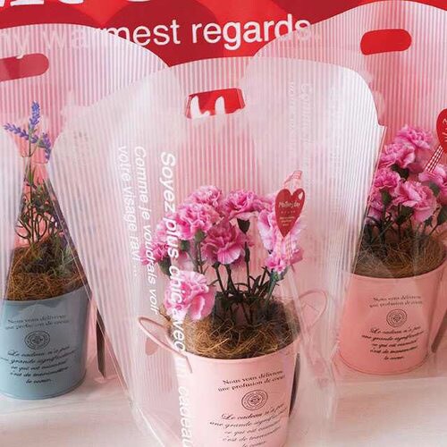 カフェオレスタンドバッグ−M 50枚