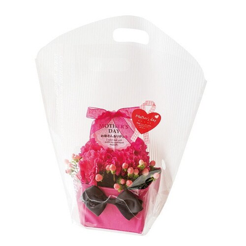 カフェオレスタンドバッグ−M 50枚