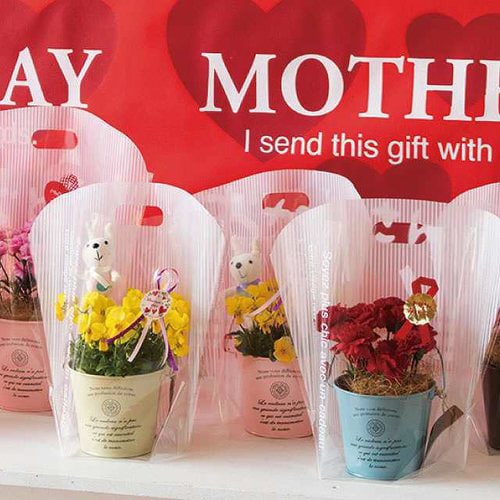 カフェオレスタンドバッグ−S 50枚×2