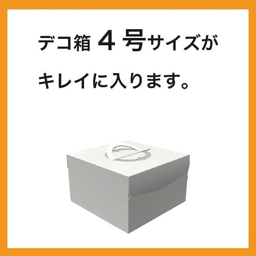 カフェオレボトムガゼットバッグバイオマス30S×2