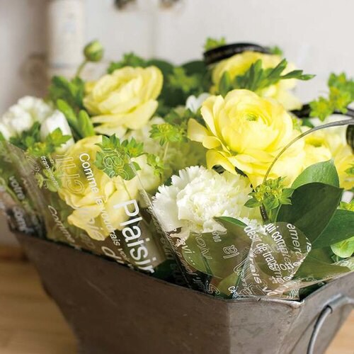 カフェオレラウンドシート−2 100枚×2