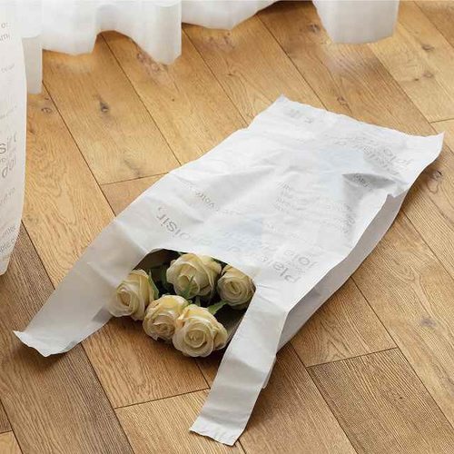 カフェオレレジバッグ/バイオマス30%−LT×2