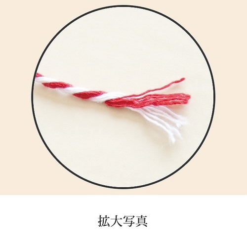 カラフルツインリボン−3/ブラウン 1巻×10