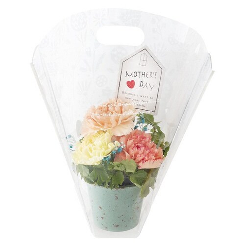 カラフルバンブーポットS/ミントグリーン 10×3