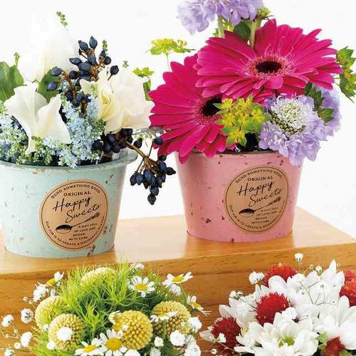 カラフルバンブーポット−S/ピンク 10個×3