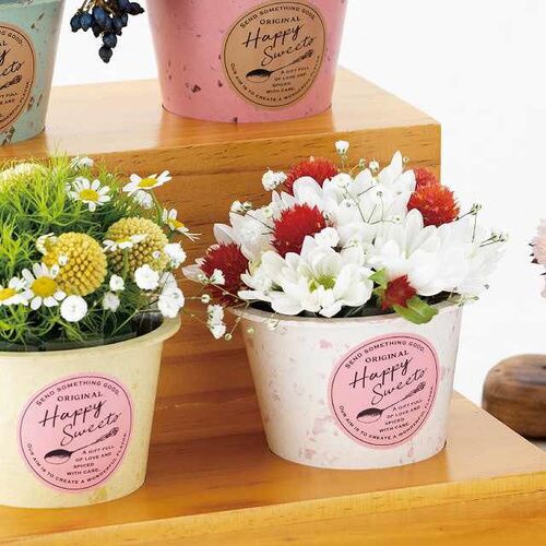 カラフルバンブーポット−S/ホワイト 10個×3