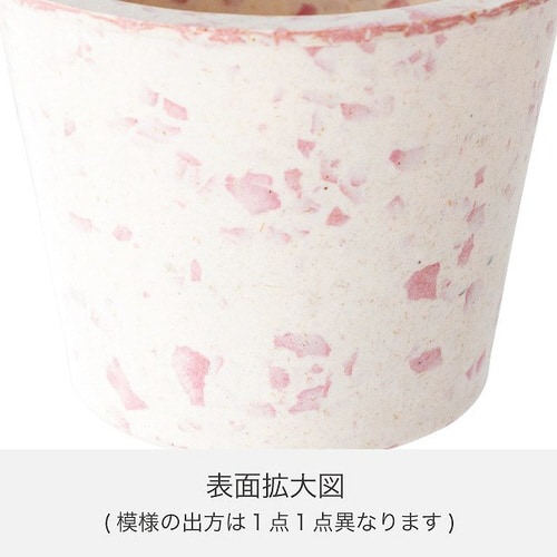 カラフルバンブーポット−S/ホワイト 10個×3