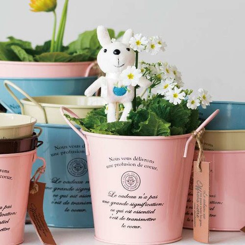 カンパーニュブリキバケツ−M/ピンク 6個