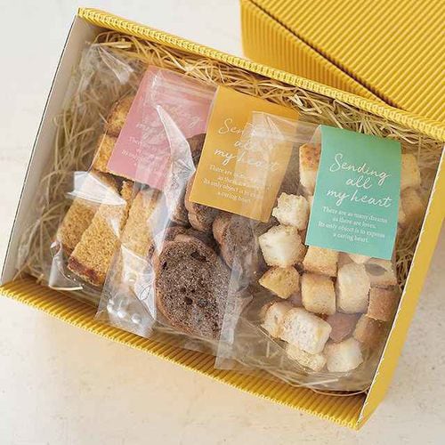 ギフト帯シール−3/グリーン 50枚×5