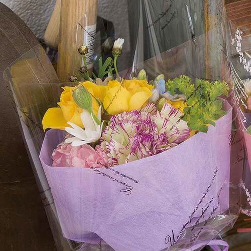 クイールスクリプトショートOPPロール−11巻×2