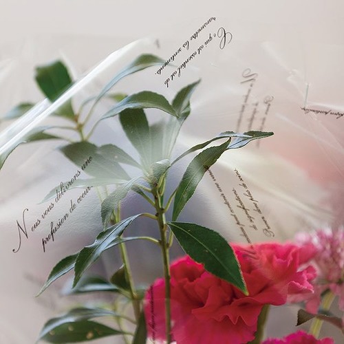 クイールスクリプトショートOPPロール−11巻×2