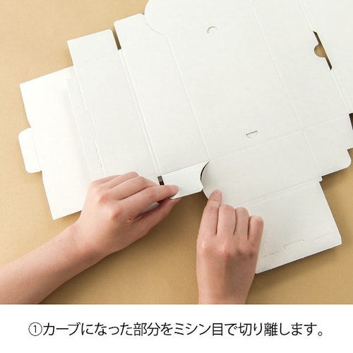 グラットンベアブック型ギフトBOX−S 10枚×2