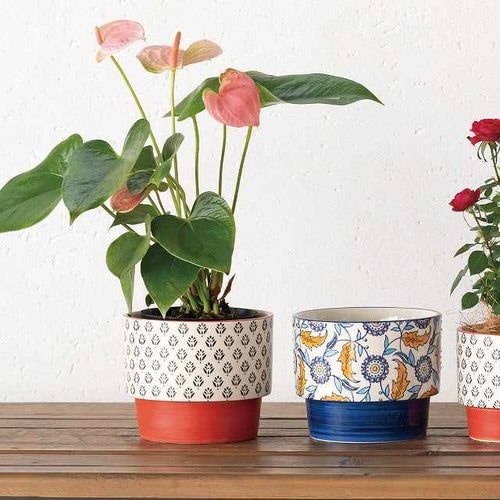 ケーキオーダーシート−4 3冊×2