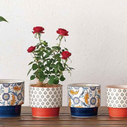 ケーキオーダーシート−4−S 1冊×5