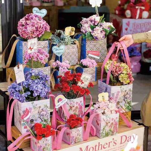 シャルムギフトボックスバッグ−1/バレリーナ×2