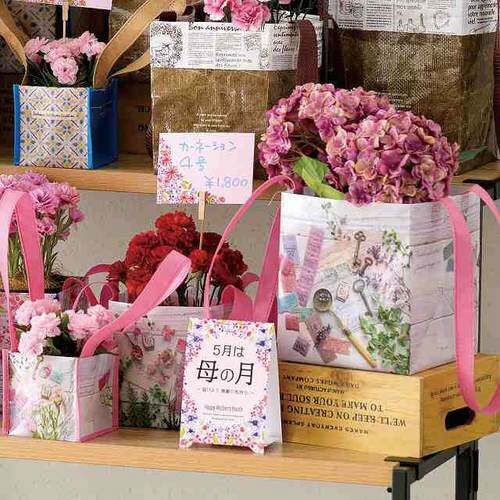 シャルムギフトボックスバッグ−1/バレリーナ×2