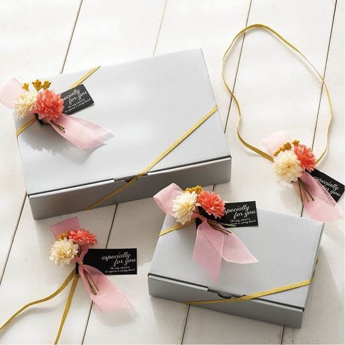 シャルムコレクションPPバスケット2/クリーム×2