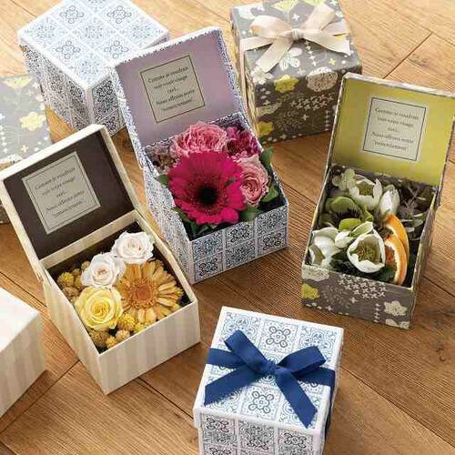 シャンドフルールオープンボックス−S 6個×2