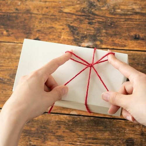 ジュートロープレッド−1 1巻×10