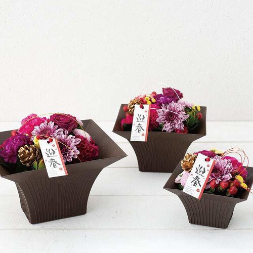 スマートアレンジポット−S 10個×2