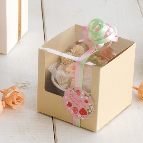 スリーブBOX/スリーブ−1 10枚×3