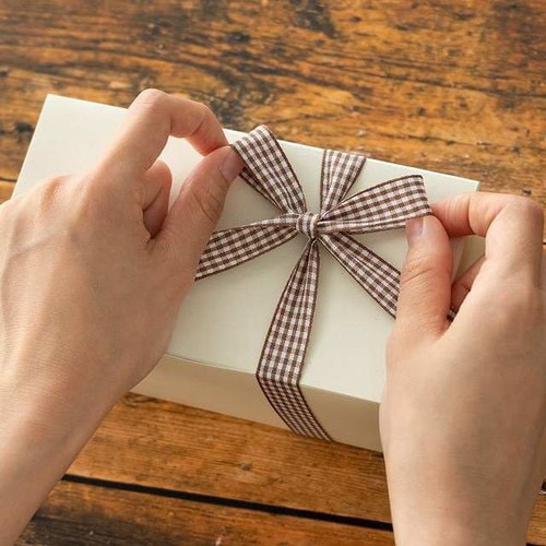 チェックリボンギンガムブラウン−2 1巻×2