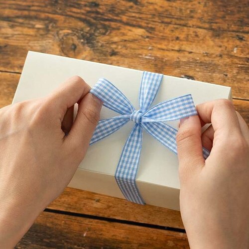 チェックリボンギンガムライトブルー−2 1巻×2