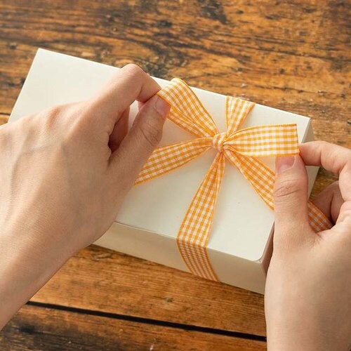 チェックリボンギンガムオレンジ−2 1巻×2