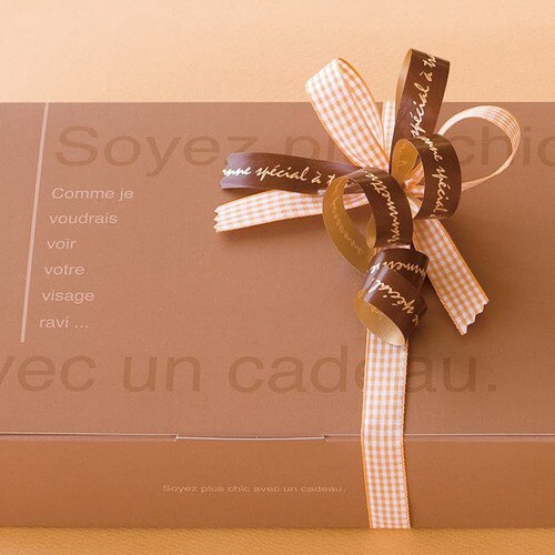 チェックリボンギンガムオレンジ−2 1巻×2