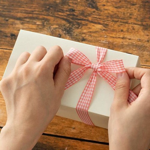 チェックリボンギンガムピンク−2 1巻×2