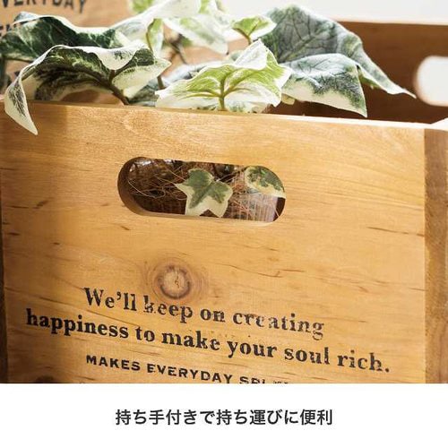 デイリーワークスウッドボックス−L 1個