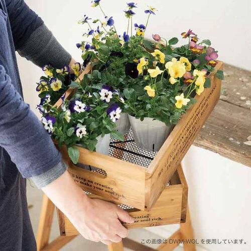 デイリーワークスウッドメッシュボックス−LL 1個