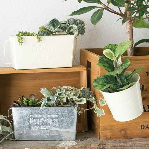 デイリーワークスブリキスクエアBK−M/アイボリ−