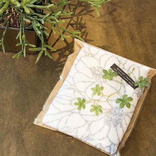 テクスチャーグリーンシール−3 100枚×5