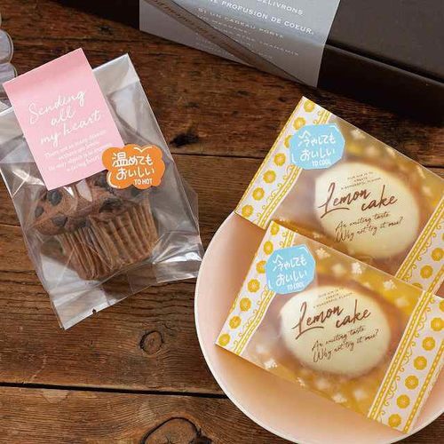 デリシール−2/温めてもおいしい 200枚×10