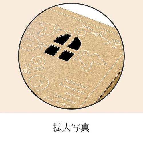 デリバリーカートン−5 20枚