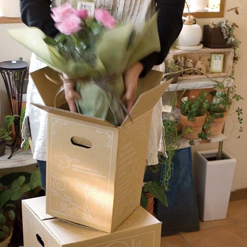 デリバリーカートン−6 20枚