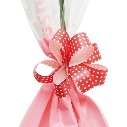 ドットプリントカーリングリボンブラウン−31巻×5