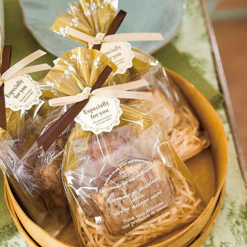 ナチュラルバインOPPギフトバッグ−4 50枚×5