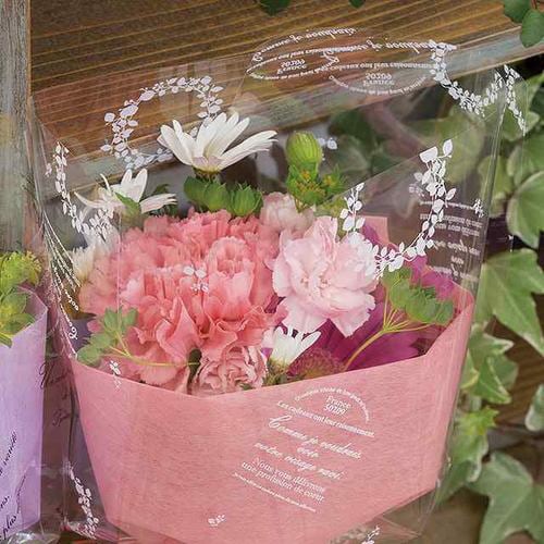 ナチュラルバインショートOPPロール−1 1巻×2